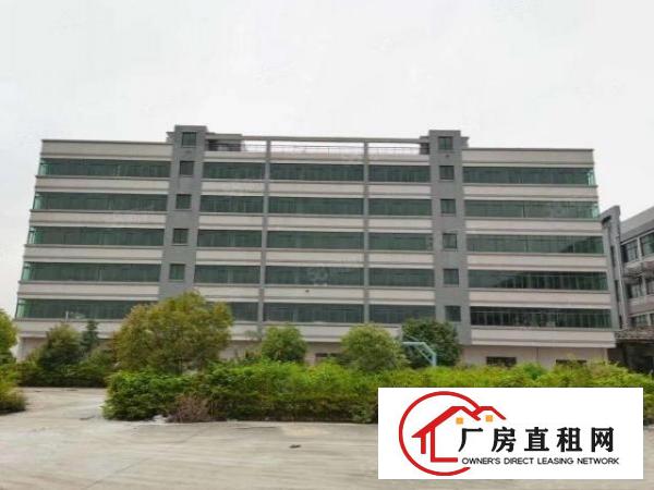  大岭山独门独院8800平米豪华装修厂房出租，可分租，
