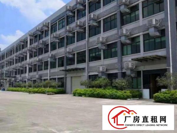  大岭山独门独院8800平米豪华装修厂房出租，可分租，