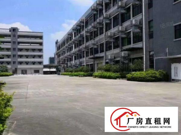  大岭山独门独院8800平米豪华装修厂房出租，可分租，