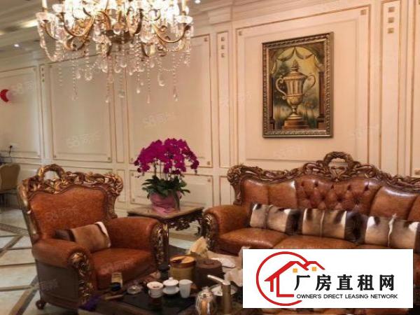  大岭山一个单一层独院，可以办环评，房东有关系，
