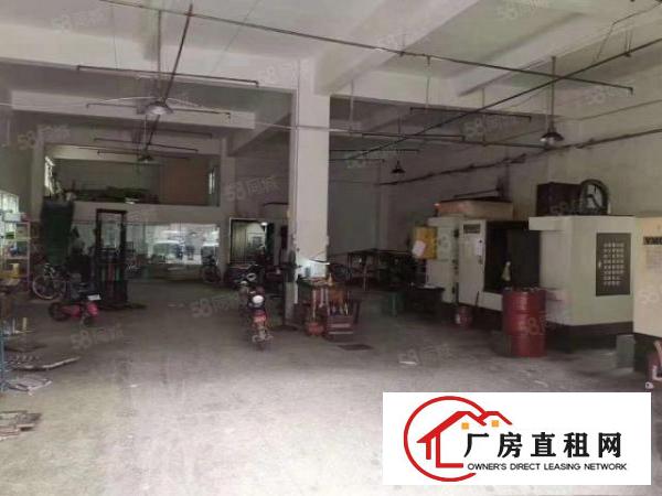  （可办环坪）向东新空出原房东独栋2层1000平厂房出租无公摊