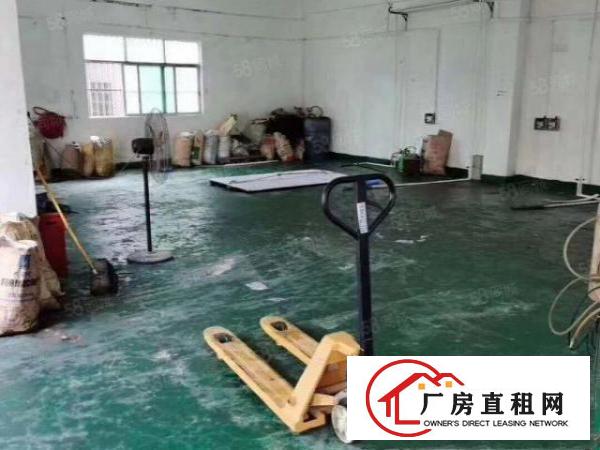  （可办环坪）向东新空出原房东独栋2层1000平厂房出租无公摊