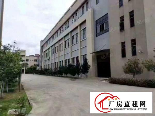  稀有资源带牛角厂房出租一楼面积1200平方，带行车办公室