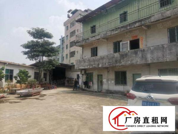  大岭山杨屋村花园式工业园大量小面积单一层1300铁皮厂房出租