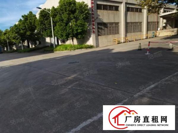  大岭山镇新出原房东单一层钢构独院厂房招租