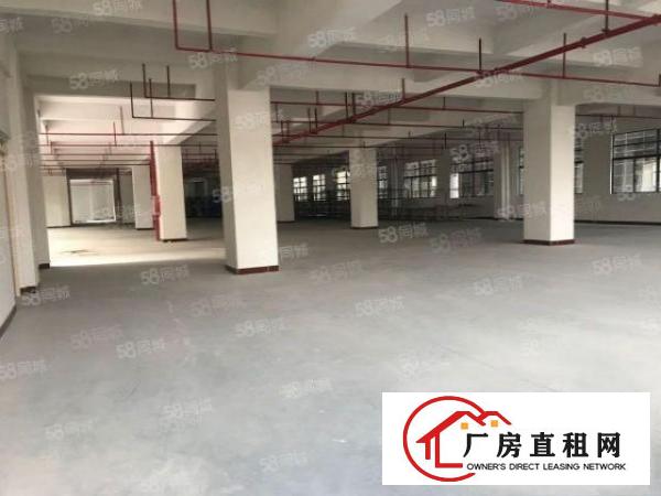  大岭山新出原房东厂房1200平方，可办环评，租金优惠