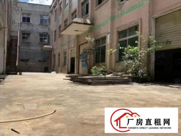  大岭山原房东独院5000平方厂房
