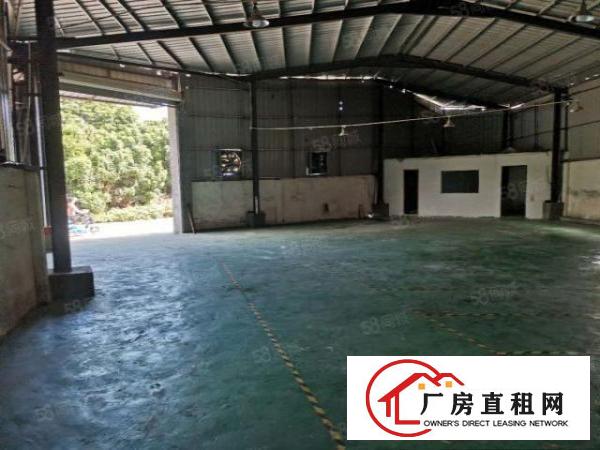  新塘村原房东独立小院单一层350方钢构加400方标准厂房出租