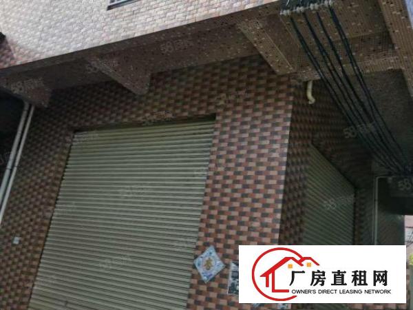  新塘村原房东独立小院单一层350方钢构加400方标准厂房出租
