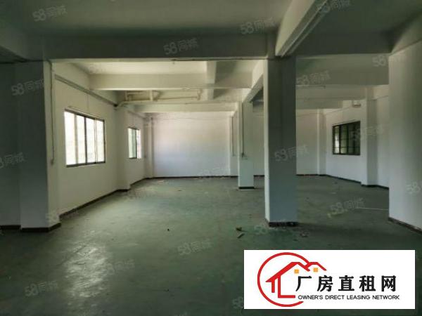  新塘村原房东独立小院单一层350方钢构加400方标准厂房出租