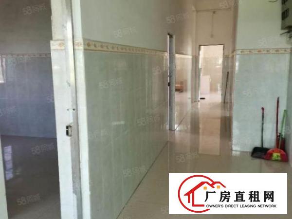  新塘村原房东独立小院单一层350方钢构加400方标准厂房出租