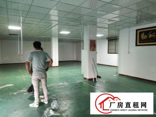  新塘村原房东独立小院单一层350方钢构加400方标准厂房出租