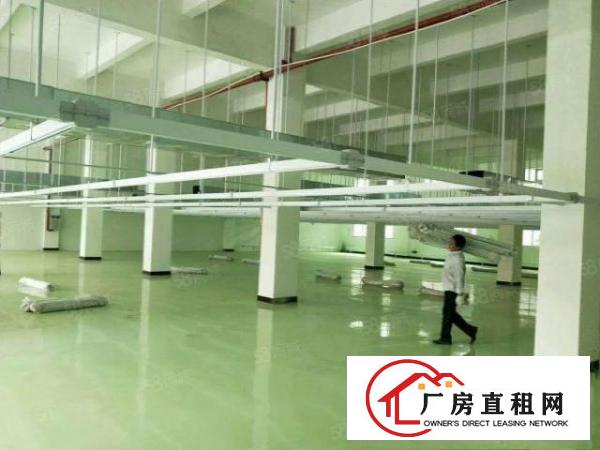  大岭山一个单一层独院，可以办环评，水电齐全，带豪华装修，