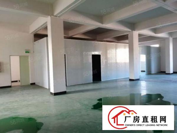  大岭山杨屋，低价出租600平标准厂房，全新地坪漆，现成办公