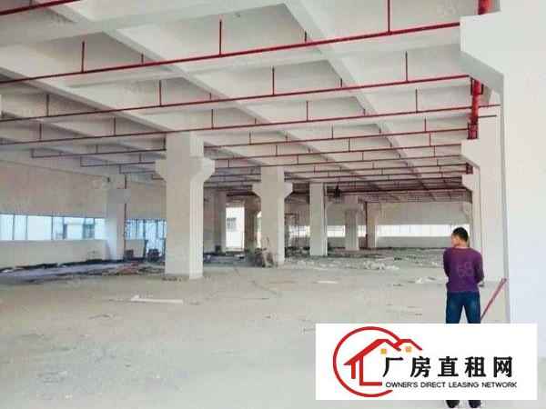  原房东工业区分租一楼1000平方，可办环评，带装修，带水电齐