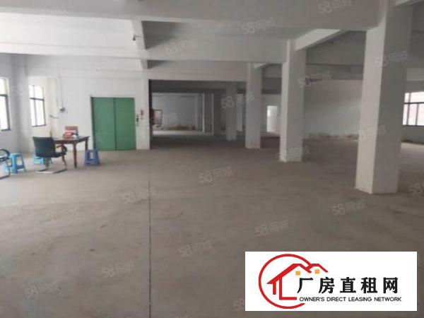  房东免费装修隔开半年年租期大岭山镇出租每层1000平厂房