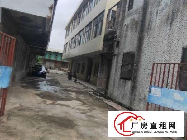  房东免费装修隔开半年年租期大岭山镇出租每层1000平厂房