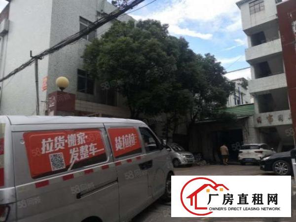  金桔新出三楼1300平，宿舍400平厂房无公摊现成水电地坪漆
