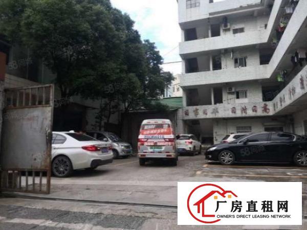  金桔新出三楼1300平，宿舍400平厂房无公摊现成水电地坪漆