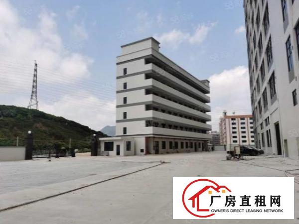  大岭山全新独门独院1000平，单价12元平