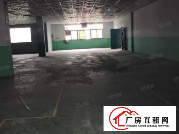  免中介费！大岭山空出实际面积带装2200平厂房出租水电齐全