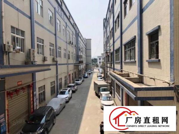  免中介费！大岭山空出实际面积带装2200平厂房出租水电齐全