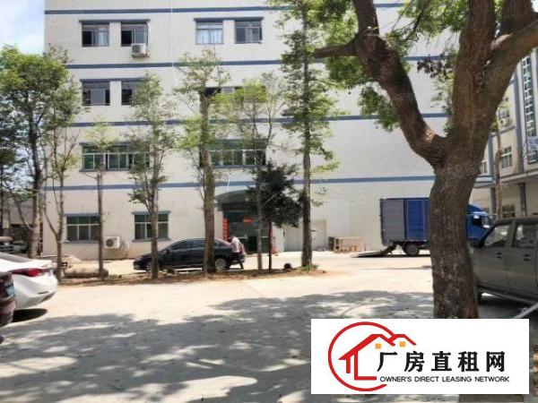  免中介费！大岭山空出实际面积带装2200平厂房出租水电齐全