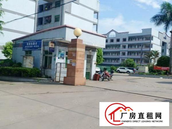  大岭山工业区新出1000平厂房带现成办公室装修水电到车间