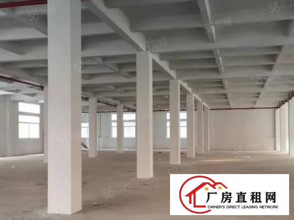  1000方标准厂房价格白菜面积实在