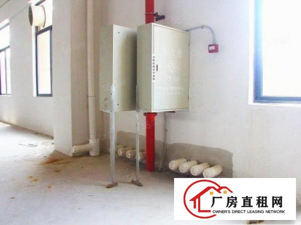  1000方标准厂房价格白菜面积实在