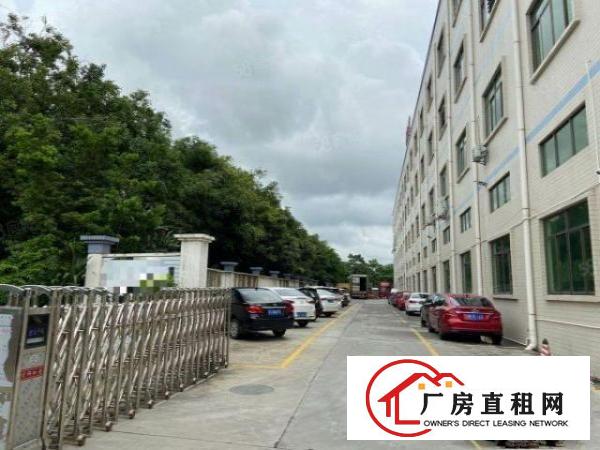  大岭山新出楼上1800平水电齐全厂房出租仓库出租