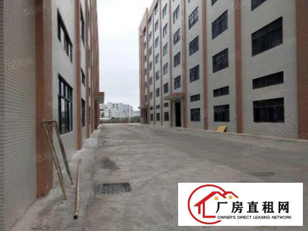  原房东新建厂房分租1000平方米，可以办环评证，带消防喷淋