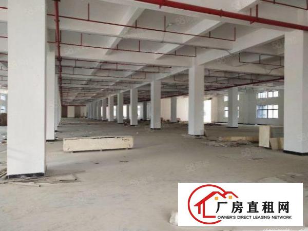  原房东新建厂房分租1000平方米，可以办环评证，带消防喷淋