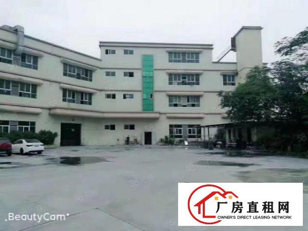  （可办环评）大岭山独院13500平厂房出租手续齐全带消防喷淋