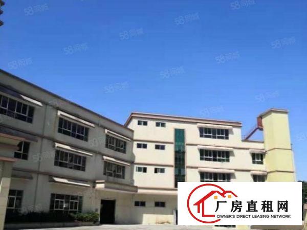  （可办环评）大岭山独院13500平厂房出租手续齐全带消防喷淋