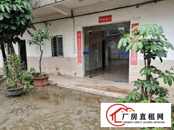  杨屋村空出原房东独门独院单一层900平方厂房出租现成办公室
