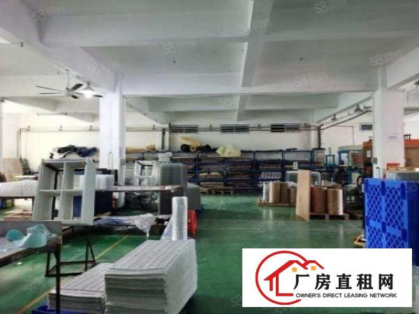  大岭山镇金桔村2楼500平带现成装修标准厂房出租入驻即可生产