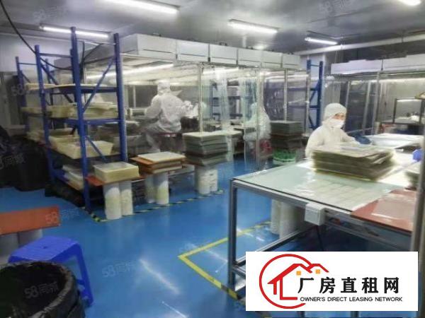  新出原房东7米高2000平无公摊环评无尘车间独门独院厂房出租
