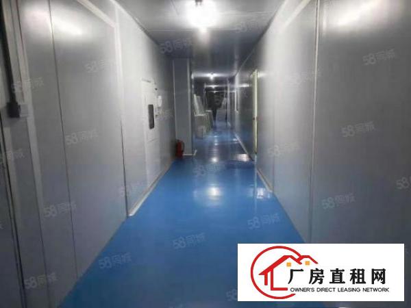  新出原房东7米高2000平无公摊环评无尘车间独门独院厂房出租