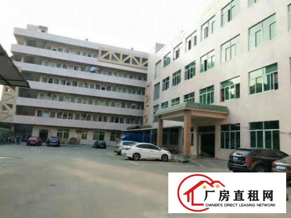  大岭山新出标准一楼1880平精装修办公室7米高