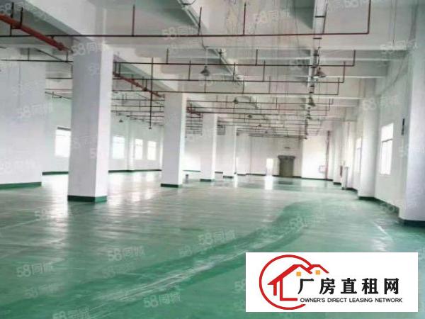  大岭山新出经典独门独院3层5300平方厂房出租超大空地