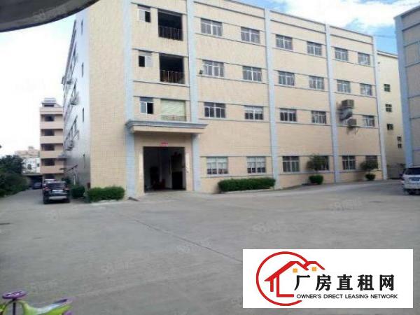  大岭山连马路出租楼上装修办公厂房620平，位置佳，使用率高