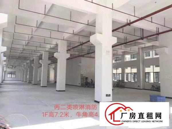  大岭山全新工业园全球招商，证件齐全可办环评，大小分租