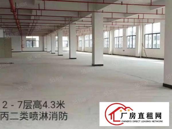  大岭山全新工业园全球招商，证件齐全可办环评，大小分租