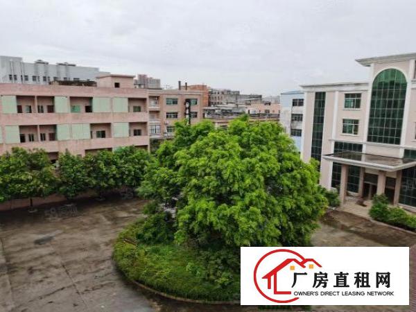  大岭山杨屋新出仓库厂房出租主线到车间带精装修办公室