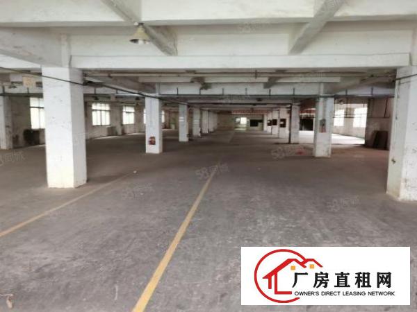  大岭山杨屋新出仓库厂房出租主线到车间带精装修办公室