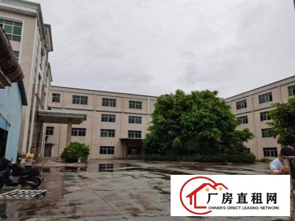  大岭山杨屋新出仓库厂房出租主线到车间带精装修办公室