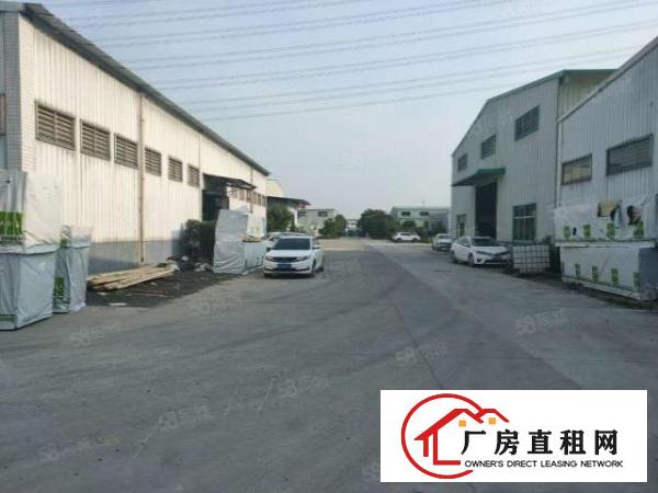  鸡翅岭村原房东单一层实际面积2000平钢构厂房出租滴水8米