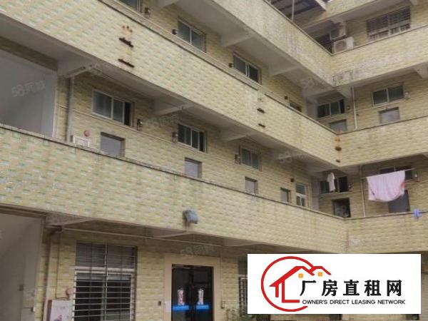  杨屋新出独门独院单一层3500平方宿舍1500平方厂房出