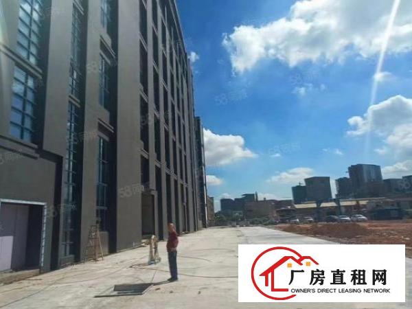  大岭山原房东新建独门独院6层三万平方，宿舍8层五千